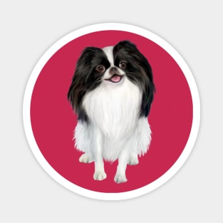 Japanese Chin (balck and white) - Just the Dog Magnet